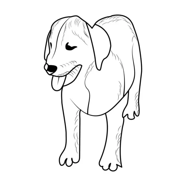 Labrador Yavru Köpek Boyama sayfası ya da çocuklar için kitap. Labrador köpek yavrusu çizimi