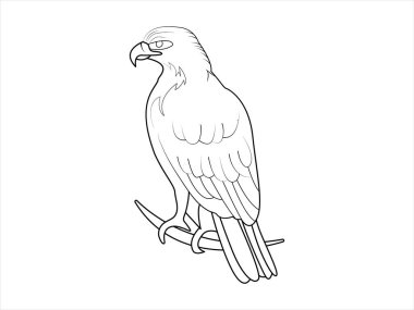 Boyama sayfası için Eagle Line sanat vektör ilüstrasyonu. Dalda oturan bir kartal