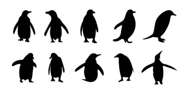 Penguen Siluet Vektörü Koleksiyonu. Bir grup Kara Penguen