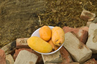 Hasır sepeti ve lezzetli mangolarla dolu bir adam. Sarı Mango 'nun yakın çekimi. Olgunlaşmış sarı mangolarla dolu bir sepet. Taze olgun mangolar sepetin içinde. Asya mangosu.