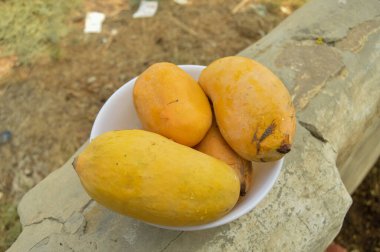 Hasır sepeti ve lezzetli mangolarla dolu bir adam. Sarı Mango 'nun yakın çekimi. Olgunlaşmış sarı mangolarla dolu bir sepet. Taze olgun mangolar sepetin içinde. Asya mangosu.