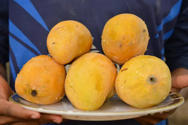 Hasır sepeti ve lezzetli mangolarla dolu bir adam. Sarı Mango 'nun yakın çekimi. Olgunlaşmış sarı mangolarla dolu bir sepet. Taze olgun mangolar sepetin içinde. Asya mangosu.