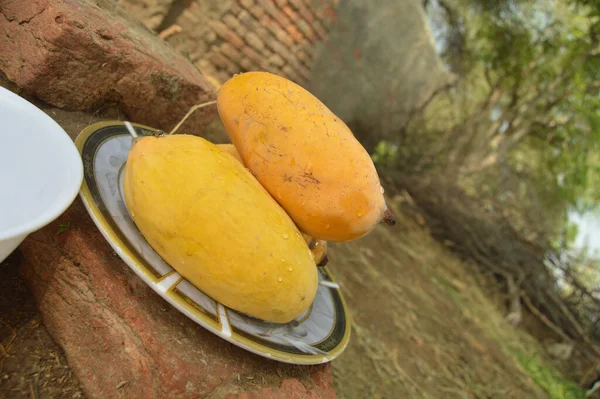Hasır sepeti ve lezzetli mangolarla dolu bir adam. Sarı Mango 'nun yakın çekimi. Olgunlaşmış sarı mangolarla dolu bir sepet. Taze olgun mangolar sepetin içinde. Asya mangosu.