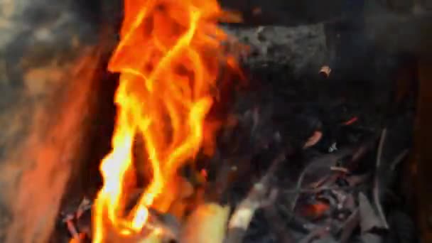 Κοντινό Πλάνο Της Φωτιάς Που Καίει Σπίθες Σωματίδια Φωτιάς Πάνω — Αρχείο Βίντεο