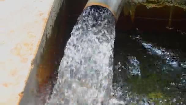 Fhd Aufnahmen Von Wasser Das Aus Einem Rohrbrunnenrohr Austritt Konzept — Stockvideo