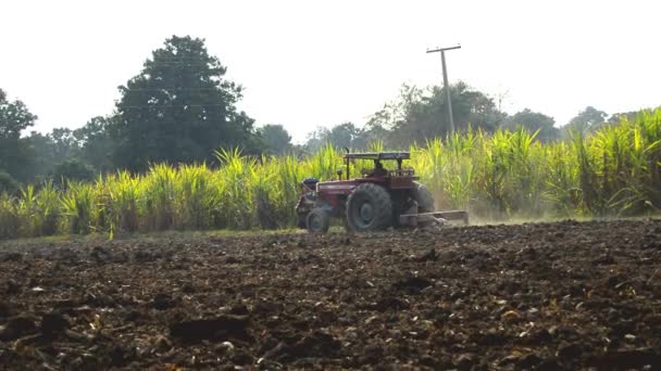 Rahim Yar Khan Pakistan Тракторне Землеробство Фермер Тракторного Посіву Посіявши — стокове відео