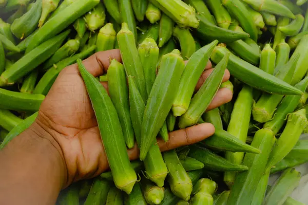 Piyasadaki kadın parmağı. Bir sürü kadın parmağı. Bamya sebzesi. Yeşil sebze. Bir sürü kadın parmağı. Leydi 'nin parmakları..