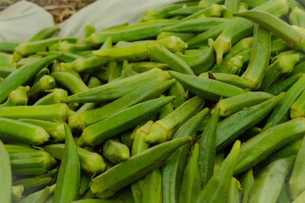 Piyasadaki kadın parmağı. Bir sürü kadın parmağı. Bamya sebzesi. Yeşil sebze. Bir sürü kadın parmağı. Leydi 'nin parmakları..