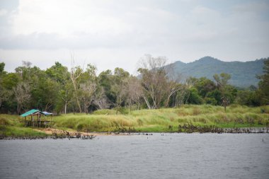 Nehir kenarındaki kulübe ormanda, arka planda çeşitli ağaçlar ve dağlar, berrak bir gökyüzü ve yumuşak güneş ışığı var..