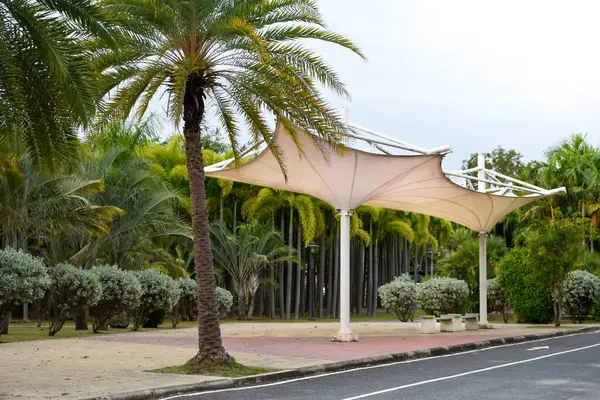 Parasol architecture and beautiful forest gardens on the road and clear sky background, garden decoration, exterior decoration, modern parks,outdoor parks, sunshade architecture, architecture out door.