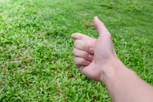 Person touching grass - Stock Image - F012/0423 - Science Photo Library