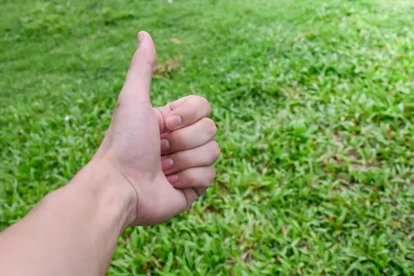 Çimenlerin üzerindeki el gibi, el popüler fotoğraf, çeşitli eller, el sembolleri, yumuşak güneş arkaplanı, vücut dili, vücut, organ, insan eli, yakın çekim, üst görünüm, doğa.