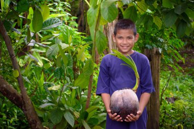 Genç hindistan cevizi tohumu filizlerini tutan Asyalı genç çocuk ormanda yeşillik ve yeşil bitkiler açık hava bahçe konseptinde bulanıklık ve yeniden ağaçlandırma.
