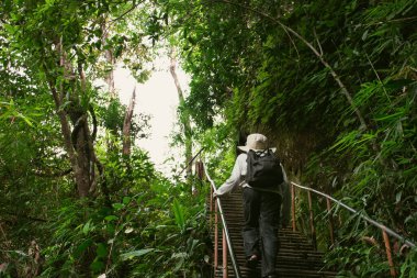 Yürüyüş kıyafetleri giymiş bir adamın arkası dağ merdivenlerinde yürüyüş için ağaçlar ve ormanlarla dolu bir merdivende yürüyor ve macera konsepti klasik ton koyu arka planda..