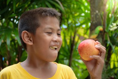 Genç çocuk kırmızı bir elma tutuyor ve onu yiyor. Sağlıklı yiyecek konseptini belirten bir ifadeyle. Yumuşak güneş ışığına sahip yeşil ormana karşı..