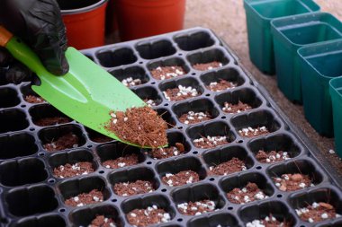 Elinizi yakın tutarak bir kürek döllenmiş toprak ya da turba yosunu ekmektir ya da ekim için saksı ekmektir. Çiftçilik ve çocuk bakımı için tarım ekipmanları.