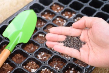 Çiftçilerin el ele tutuştuğu tohumlar bir fidanlık tepsisinin arkasında gübre ve kürekle tarım ekimi ve çocuk bakımı için kullanılıyor. Çiftçilik ve çocuk bakımı için tarım ekipmanları.