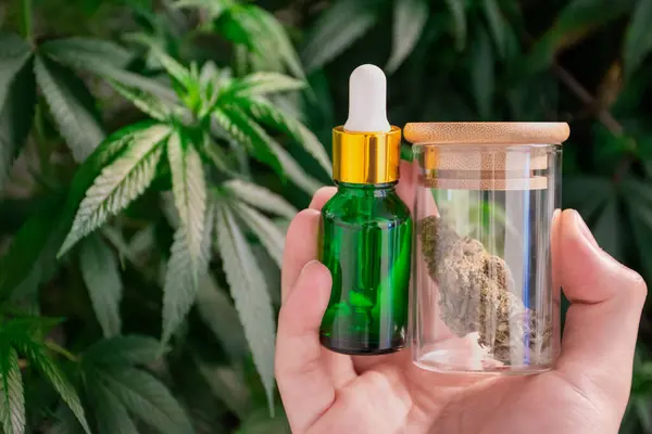 Elinde esrar tomurcukları ve yeşil damlalar bulunan cam bir kavanozla marihuananın arka planında bulanık yeşil yaprakları tutan bir el. Tedavi için CBD ve THC kenevir yağının ürünü.