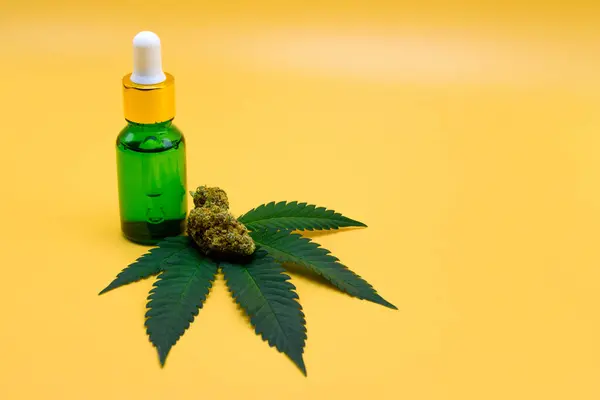 Yeşil damlacık şişesi ve sarı izole arka planda yapraklı kurutulmuş kenevir tomurcukları. Turuncu arka planda yeşil marihuana Yaprağı, Stüdyo Çekimi.