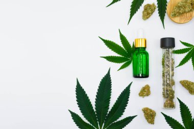 Yeşil yapraklı ve yeşil damlacıklı esrar tomurcuklarının beyaz izole edilmiş arka planı, laboratuvardaki bilimsel deney ekipmanları, marihuana yağı özü konsepti, THC, CBD.