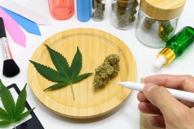 Tahta bir tabakta yeşil yapraklı kenevir tomurcukları ve bilim laboratuarında laboratuvar ekipmanları, elinde kalem tutan bir bilim adamı. Bilim insanları CBD ve THC 'yi araştırıyor. İlaç endüstrisinde marihuanadan petrol çıkarıyorlar..