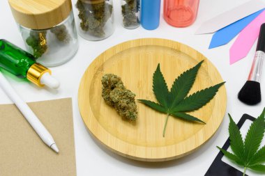 Ahşap bir tabakta yeşil yapraklı esrar tomurcukları ve bir laboratuarda laboratuvar ekipmanları. Bilim insanları CBD ve THC 'yi araştırıyor. İlaç endüstrisinde marihuanadan petrol çıkarıyorlar. beyaz arkaplan.