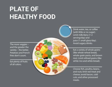 Bir tabak sağlıklı yemek. Sağlıklı plaka. Altyazılı vektör illüstrasyonu. Sebzeler, tam tahıllar, meyve ve protein ile etiketlenmiş eğitici gıda örneği şeması.