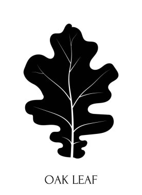 Siyah meşe yaprağı. Vektör meşe yaprağı. Vektör çizimi. Logo