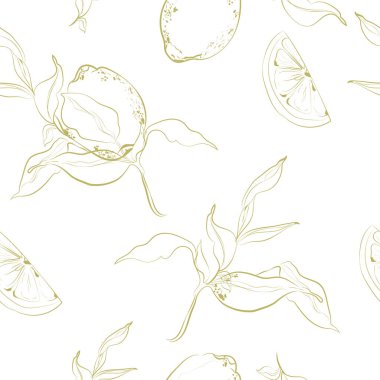 Limon çizimi olan güzel sarı ve beyaz karalama deseni. El çizimi moda arka plan. Geçmiş tebrik kartları, davetiyeler, kumaş ve tekstil tasarımları. Yaz havası