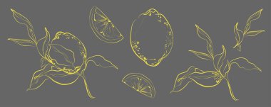 Limon takımı. Limon ve yapraklar. El çizimi moda arka plan. Tebrik kartları, davetiyeler, kumaş ve tekstil için tasarım öğeleri. Yaz havası. Vektör. Gri arkaplan