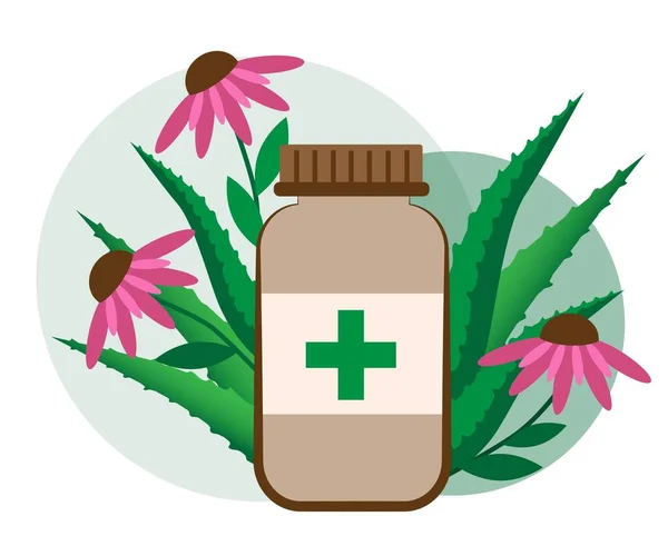 Web Ilustración Vectorial Plantas Medicinales Para Inmunidad Aloe Echinaceaon — Vector de stock