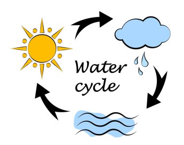 Doğadaki su döngüsü. Vektör illüstrasyonu