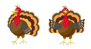 Beyaz arka planda hindi. Vektör illüstrasyonu