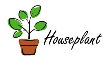 Beyaz arka planda kapalı alan bitkileri. Vektör illüstrasyonu