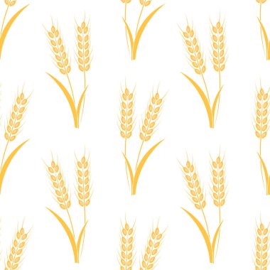 Beyaz Arkaplanda Dikensiz Buğday Örnekleri. Vektör illüstrasyonu