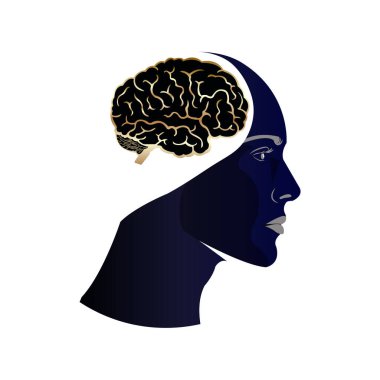 Vizyonu olan adam, Parlak Beyin Enerjisi, Güç ve Işıltının Füzyonu, Altın Beyin