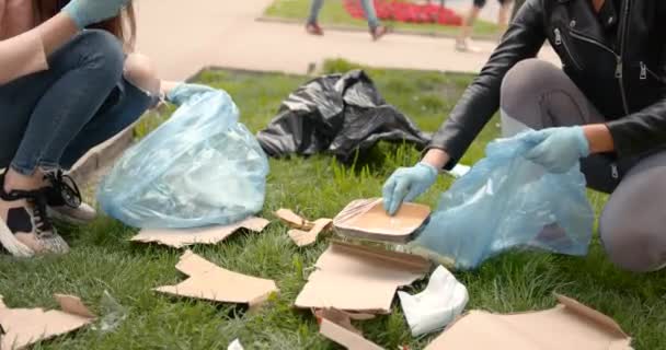 Team Volunteers Collecting Garbage Public Park Environmental Protection Concept — Stock Video