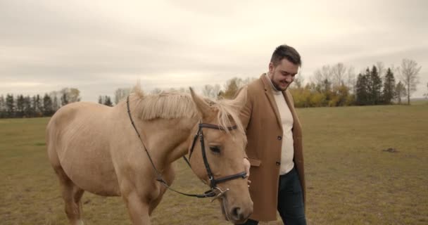 Man Guiding Horse Lead Rope Field Animal People Friendship — Vídeos de Stock