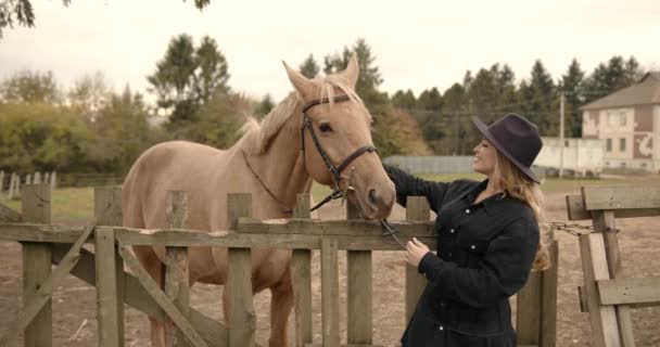 Молодая Красивая Девушка Обнимает Лошадь Природе Любитель Лошадей — стоковое видео