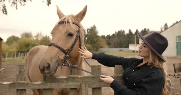 Ung Vacker Flicka Kramar Häst Naturen Hästälskare — Stockvideo