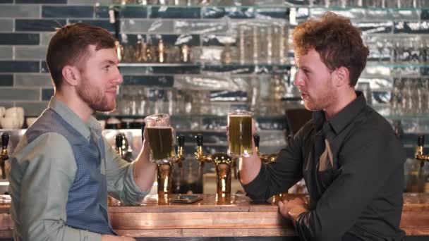 Two Old Friends Having Conversation Pub Beer — Wideo stockowe