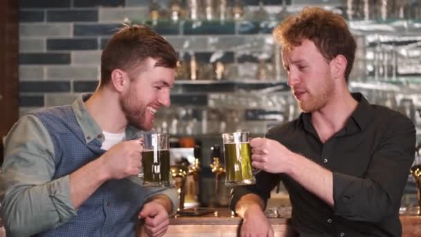 2人の古い友人がビールを飲みながらパブで会話している — ストック動画