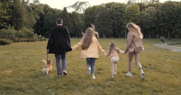 Οπίσθια Οικογένεια Τρέχει Στο Πεδίο Φθινόπωρο Κρατώντας Χέρια Ψυχαγωγική Δραστηριότητα — Αρχείο Βίντεο