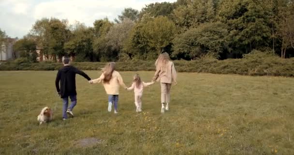 Tylny Widok Rodziny Działa Jesiennym Polu Trzymając Się Ręce Aktywność — Wideo stockowe