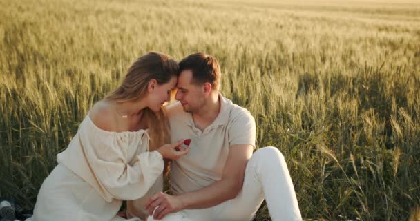 一对快乐的父母 一个孕妇和她的丈夫充满了爱 日落时的野餐 慢动作 — 图库视频影像