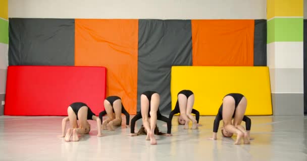 Kız Jimnastikçiler Birlikte Prova Yapar Siyah Tayt Topuz Saçı — Stok video