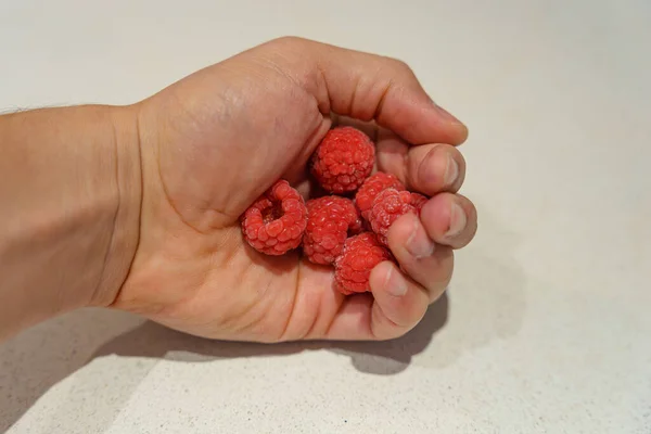 Berry Bounty: Hands Cradle Juicy Red Raspberries