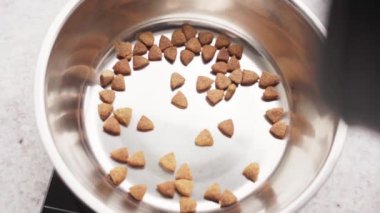 Slow Motion Feast: Pet 's Bowl' u zevkle doldurmak. Bir evcil hayvanın kasesini lezzetli yiyeceklerle doldurma süreci. Evcil hayvanlarla insanları arasındaki bağın ve yemek zamanındaki neşenin kutlaması.
