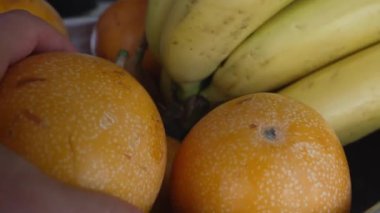 Mükemmel Granadilla 'yı seçiyorum. Bir el, granadilla ve muzlarla dolu bir sepetten canlı bir portakal granadillasını dikkatlice seçer ve tropik meyvelerin tazeliğini ön plana çıkarır.