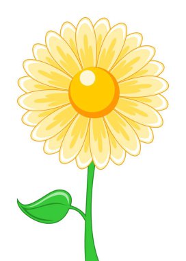 Yeşil yapraklı sarı bir papatya resmi. İzole vektör illüstrasyonu.